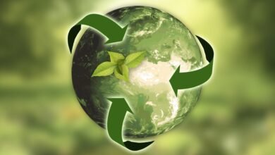 Foto de ECOPHALT – Colaboração aos projetos sustentáveis