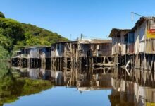 Foto de Rio do Peixe recebe a 120ª Ação Voluntária do Instituto EcoFaxina