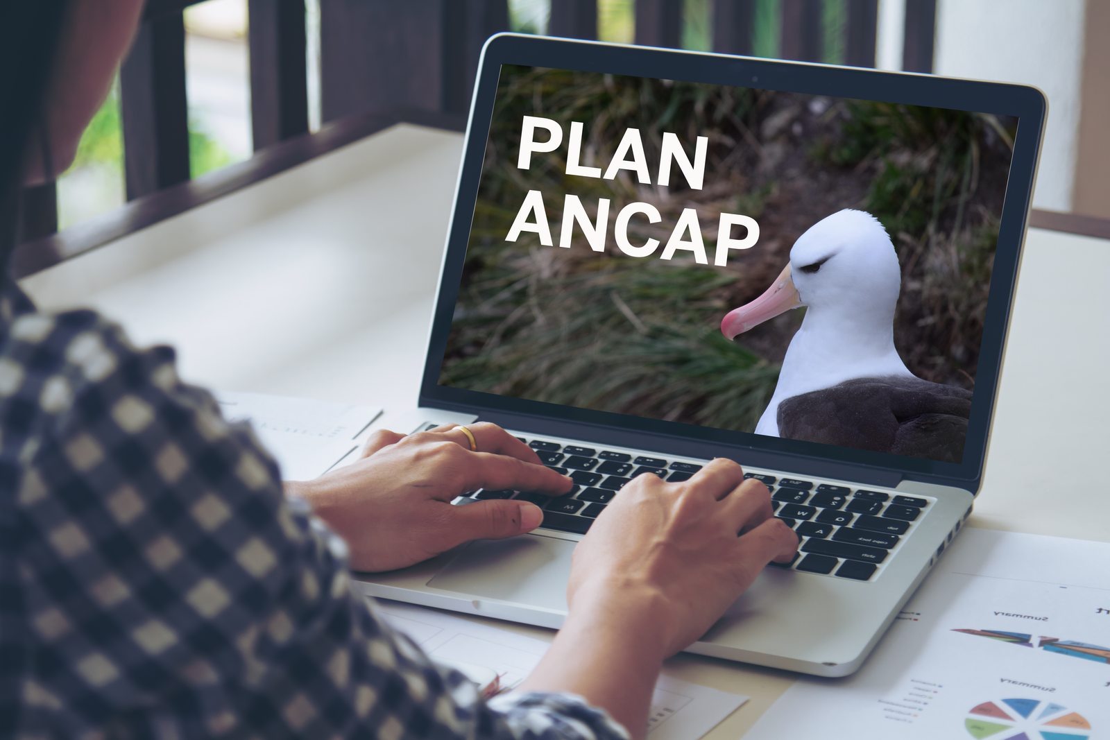 Foto de Reunião anual de monitoria do PLANACAP é realizada em conferência virtual