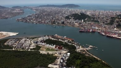 Foto de | Contaminação por hormônios femininos afeta estuário santista-vicentino